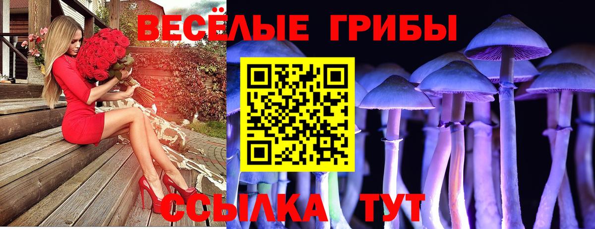 Химки  Псилоцибиновые грибы GOLDEN TEACHER  Вход с VPN 